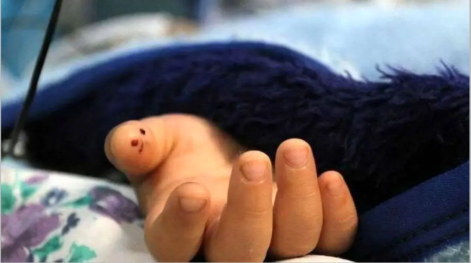 نازنین زهرا دیگر نیست