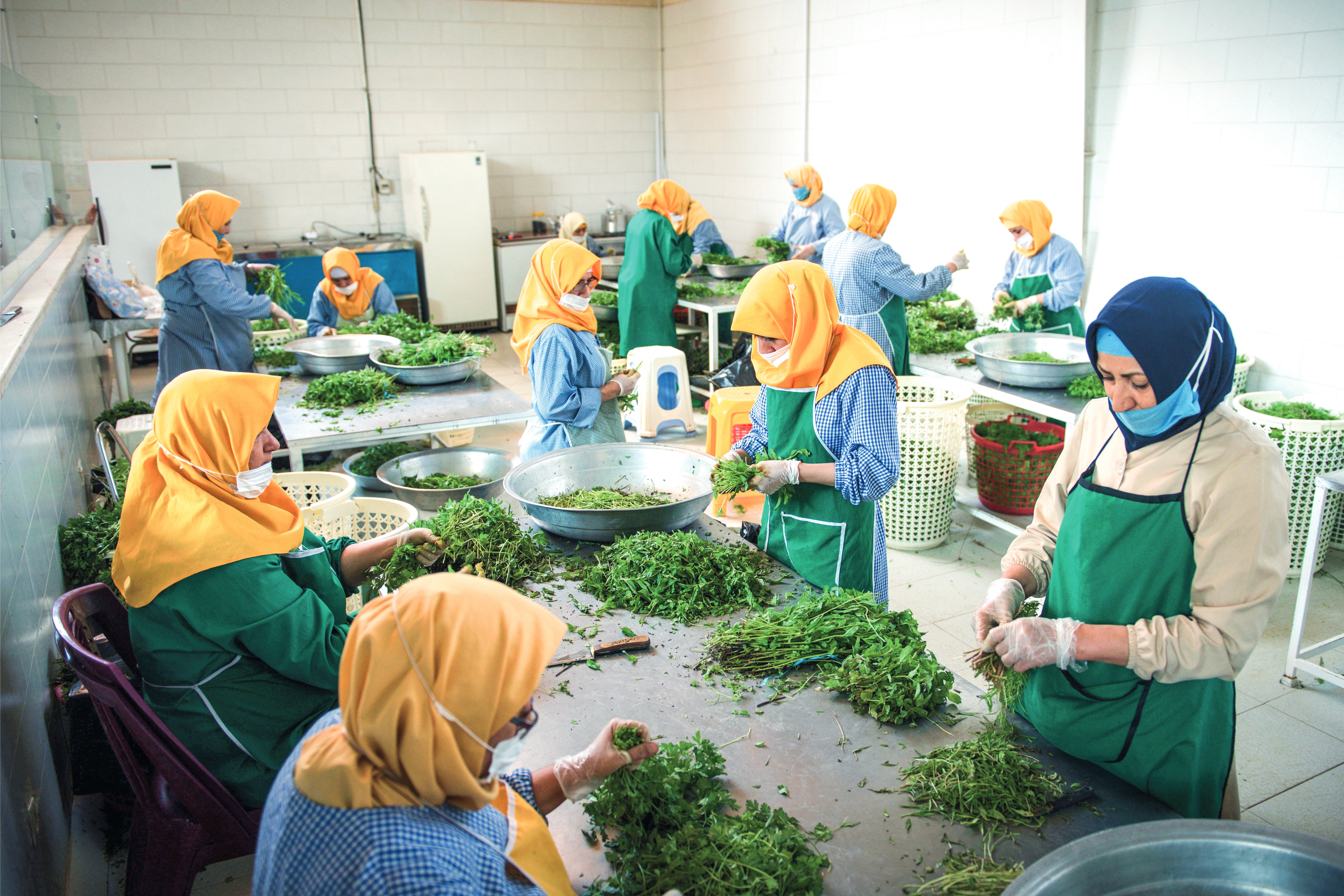 زنان پشت در بازار کار