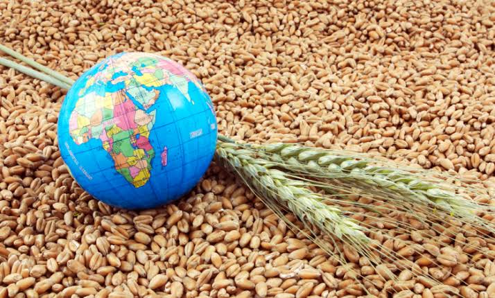 امنیت غذایی؛ از دسترسی به غذا تا رفاه اجتماعی