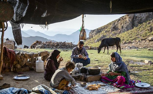 حکمرانی با هوش مصنوعی تبریک می‌گوید، روستا از فناوری جا می‌ماند