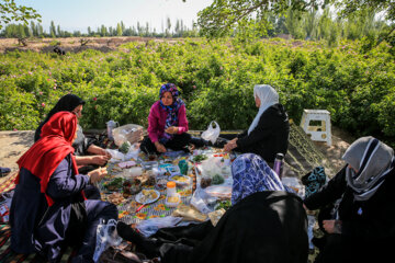 پوشش ۱۰۰ درصدی بیمه تامین اجتماعی مادران روستایی دارای سه فرزند و بیشتر