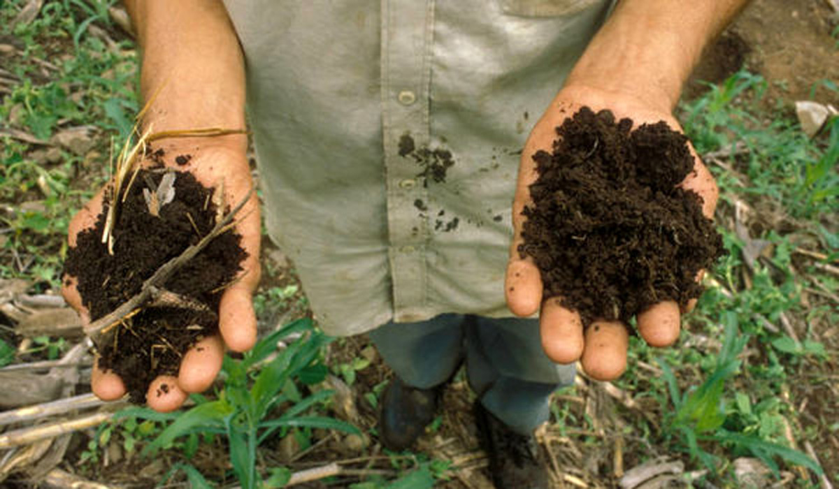 خطر بزرگ برای خاک ایران؛ میلیون‌ها تن کربن سالانه بدون بازگشت برداشت می‌شود