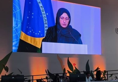 پیام ایران در کنفرانس تغییر اقلیم: جاه‌طلبی اقلیمی بدون حمایت کافی ممکن نیست