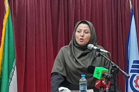 شناسایی 100 فرصت سرمایه گذاری در سازمان فنی و حرفه ای