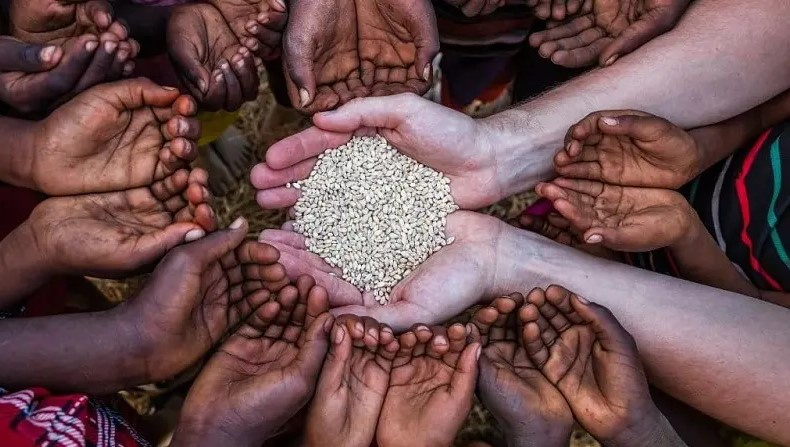 حدود یک سوم جمعیت جهان به غذای سالم دسترسی ندارند
