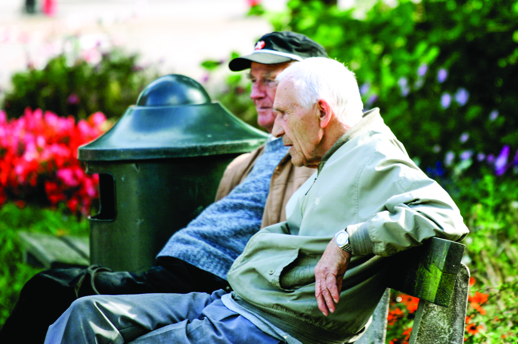 بانک یا صندوق بیمه