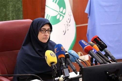 معاون محیط زیست انسانی سازمان حفاظت محیط زیست: اجازه نداریم به تغییر اقلیم فانتزی نگاه کنیم