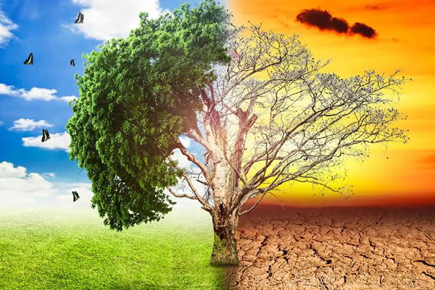 هشدارهای اقلیمی در سال ۲۰۲۵؛ از موج‌های گرما تا تخریب اکوسیستم‌ها