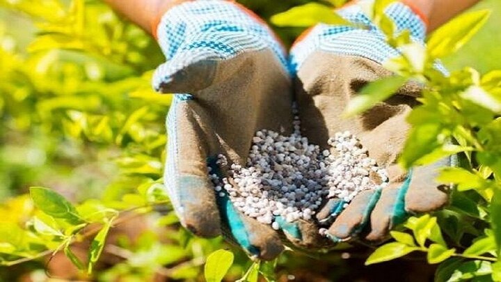 اختلال در زنجیره تامین جهانی کشاورزی با بسته شدن هرمز