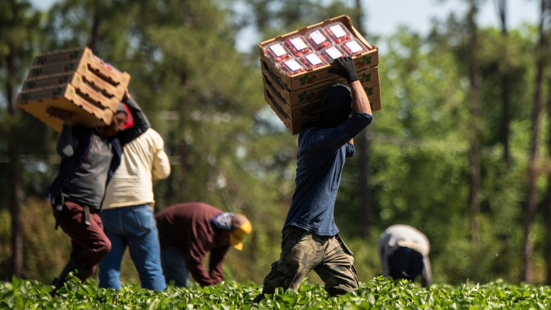 برده‌داری مدرن در اروپا؛ راه‌حل قدیمی برای مشکلات جدید مراکز سرمایه
