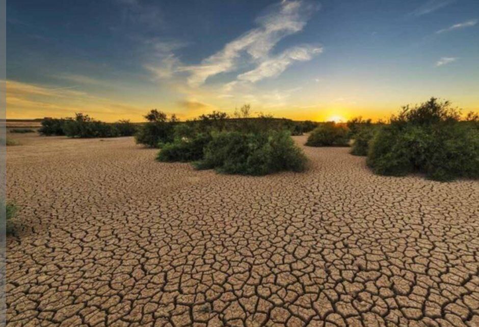 نجات زمین از بیابان؛ ایران چقدر از مسیر احیای سرزمین را طی کرده است؟