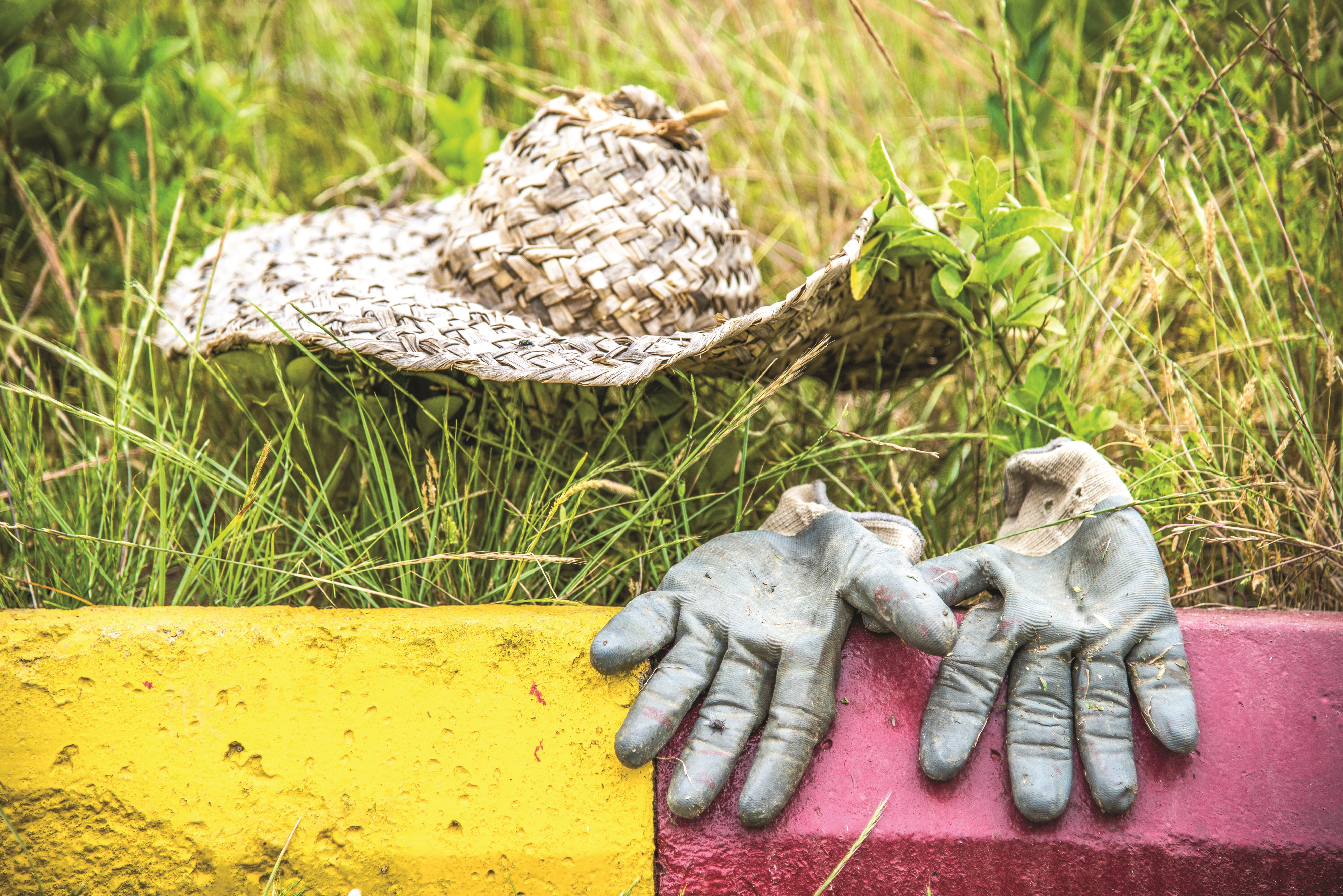 کاری برای بازنشستگی