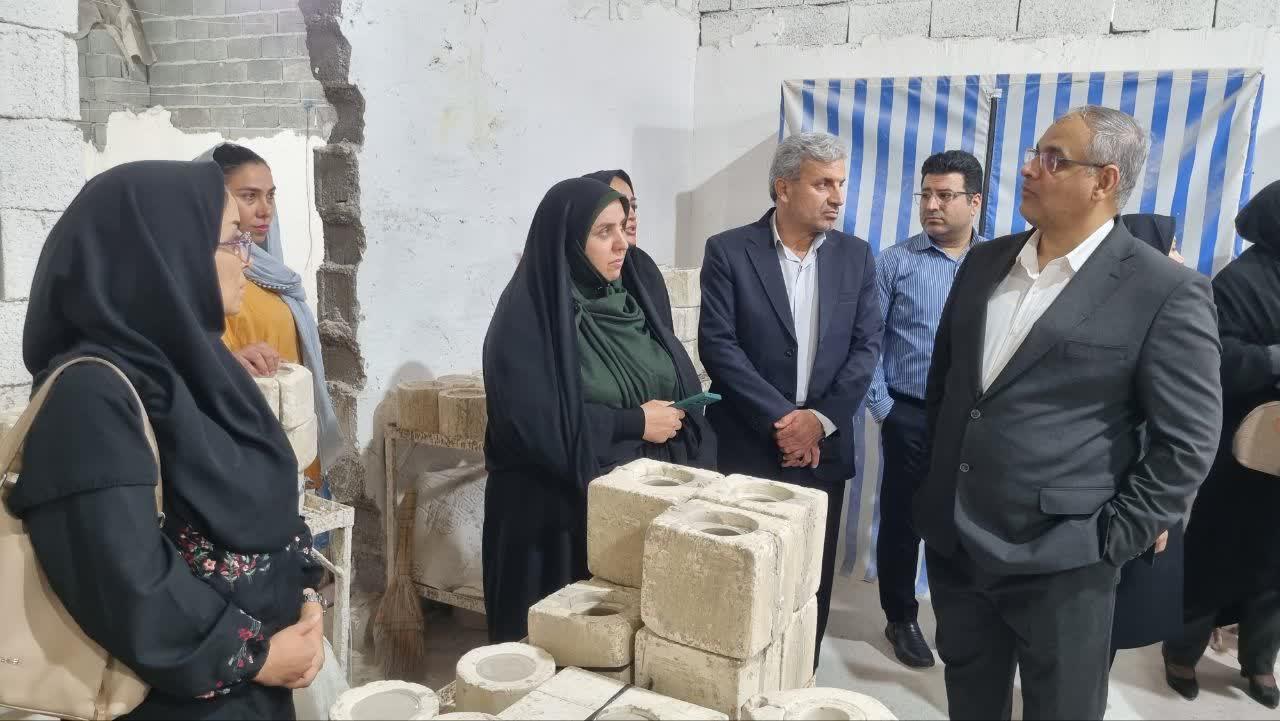 سرمایه‌گذاری ۱۰۰ میلیاردی در خانه‌های کارآفرینی مازندران