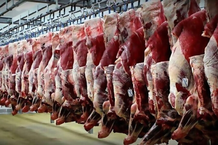 سازمان دامپزشکی: برای عرضه گوشت اسب و الاغ هیچ مجوزی صادر نشده است