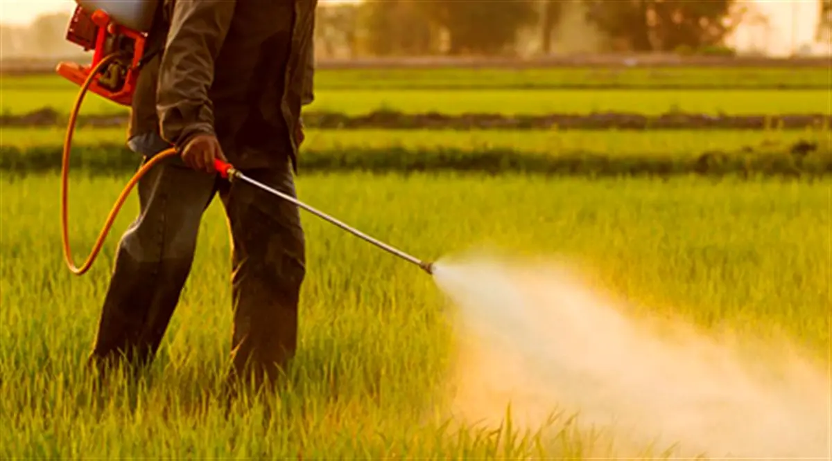 حذف سموم پرخطر از کشاورزی آغاز شد