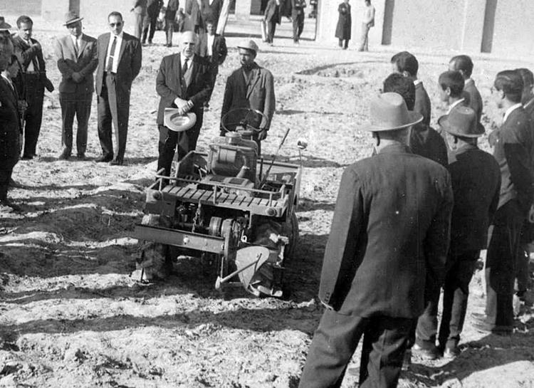 حمایت از کارگران زیر سایه دولت اقتدارگرا