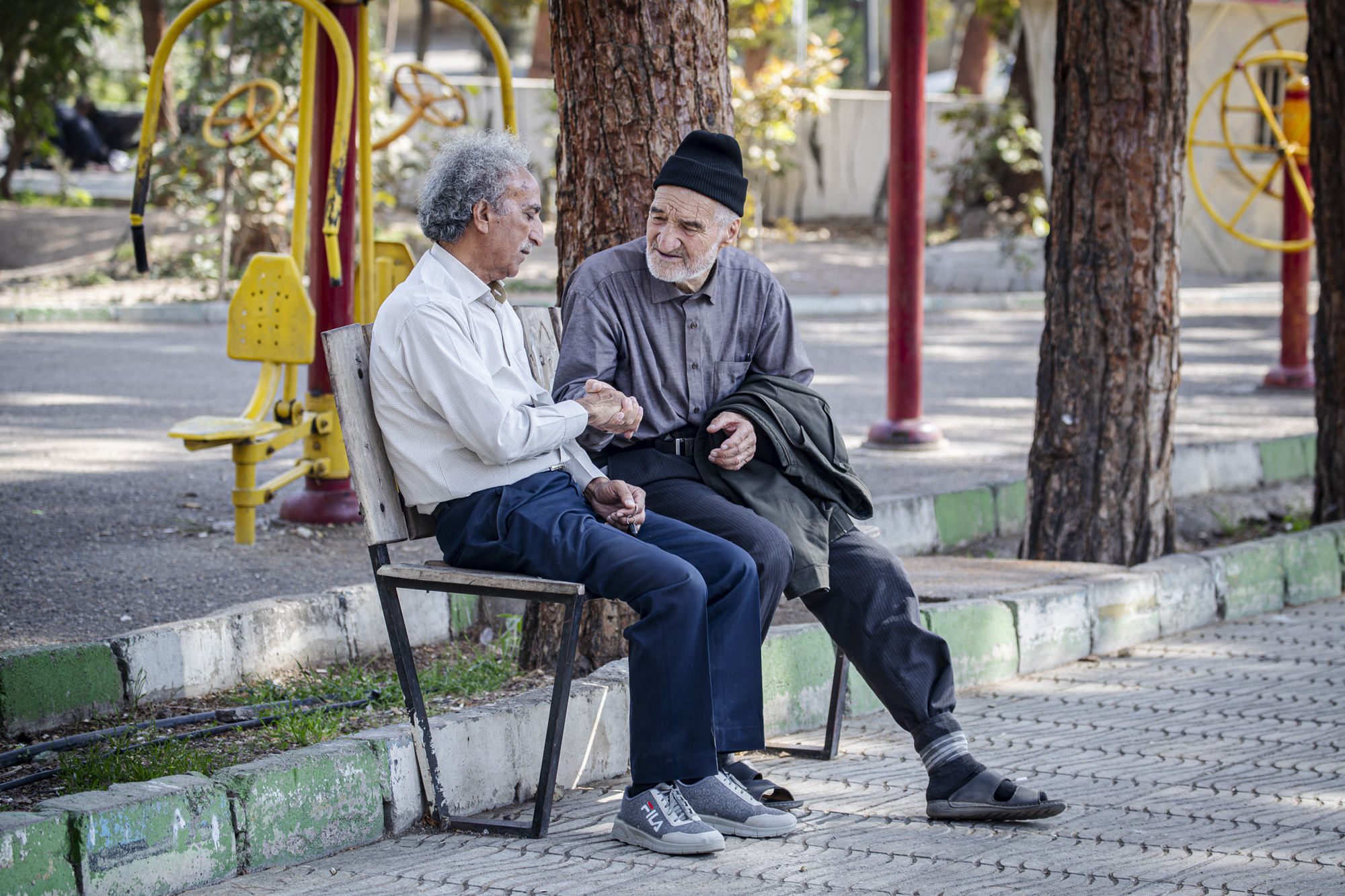 سالمندان شاهرودی در ظهر پاییزی یک پارک