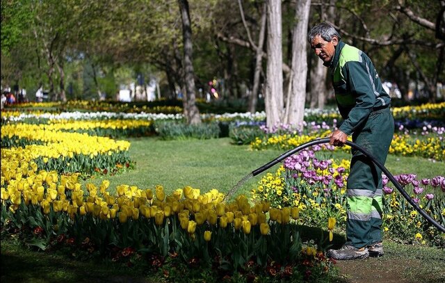 راهبرد جدید برای بازگشت کارگر ایرانی به مشاغل خدماتی