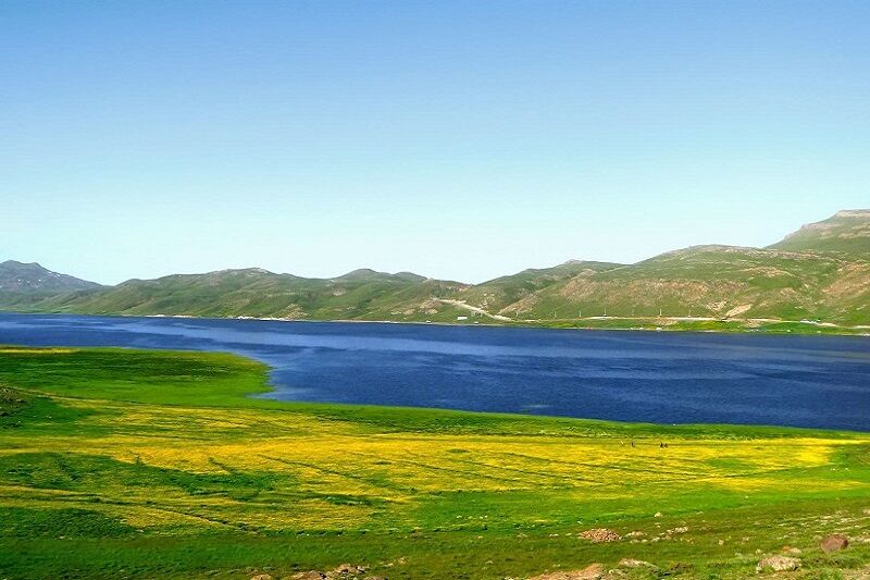 صدور سند رسمی برای تالاب‌ها ظرف دو سال آینده