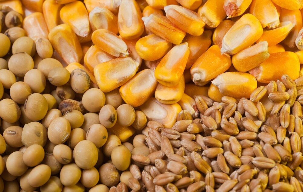 ترخیص نهاده‌ها در گرو پرداخت طلب واردکنندگان
