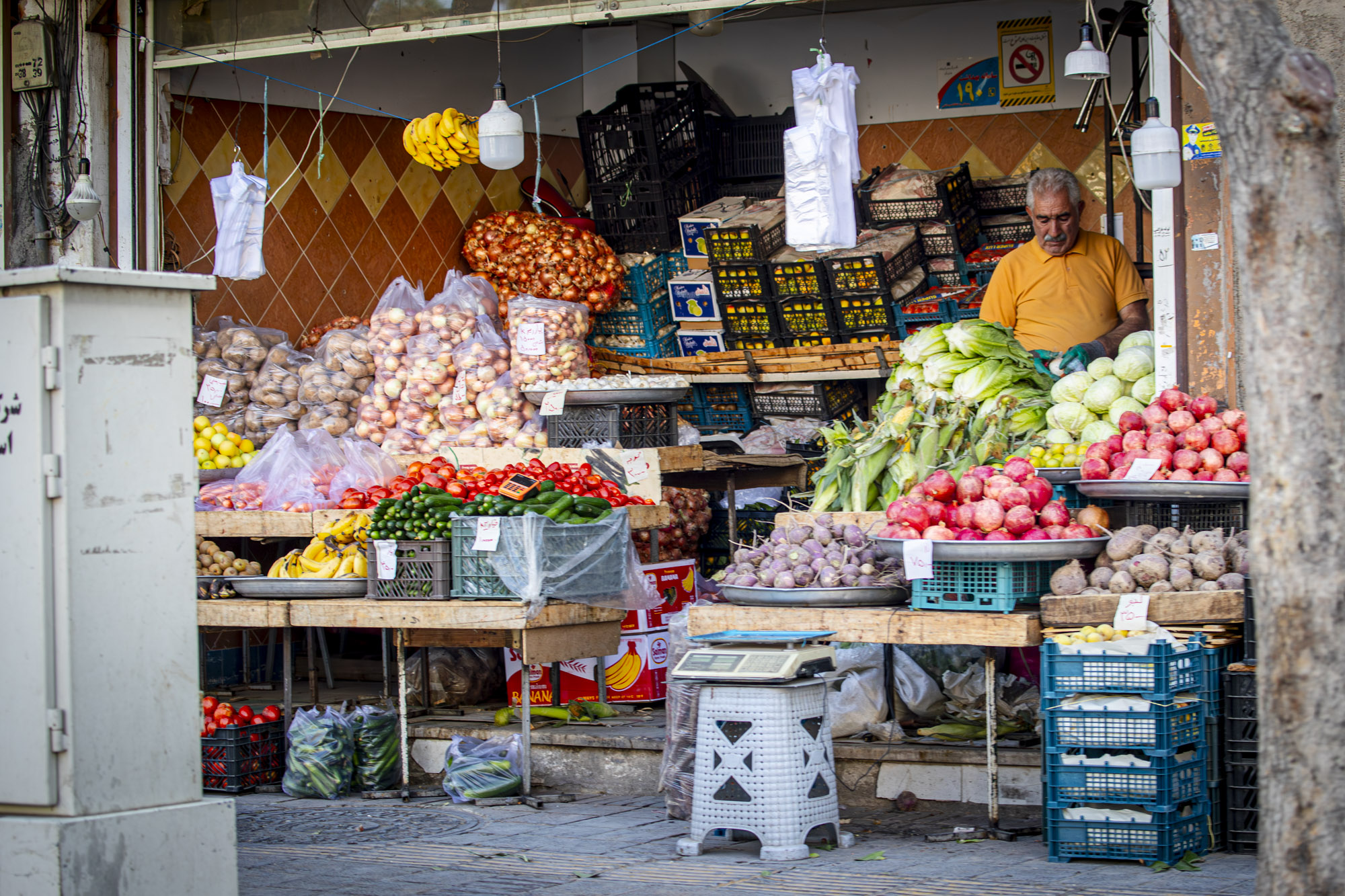 نظارت بر قیمت میوه شب یلدا و جریمه ۳۳ همتی
