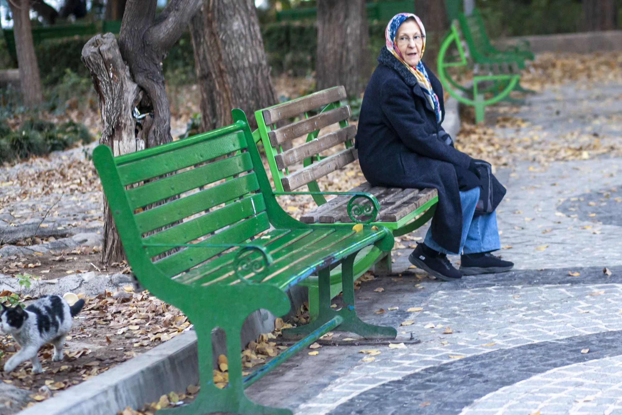 روایتی از زنان بازنشسته در دل شهر