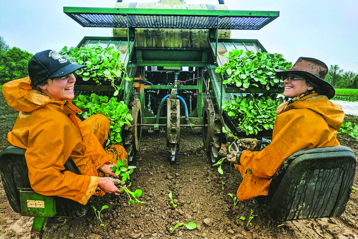 تعاونی‌های کارگری، مولدتر و کارآمدتر