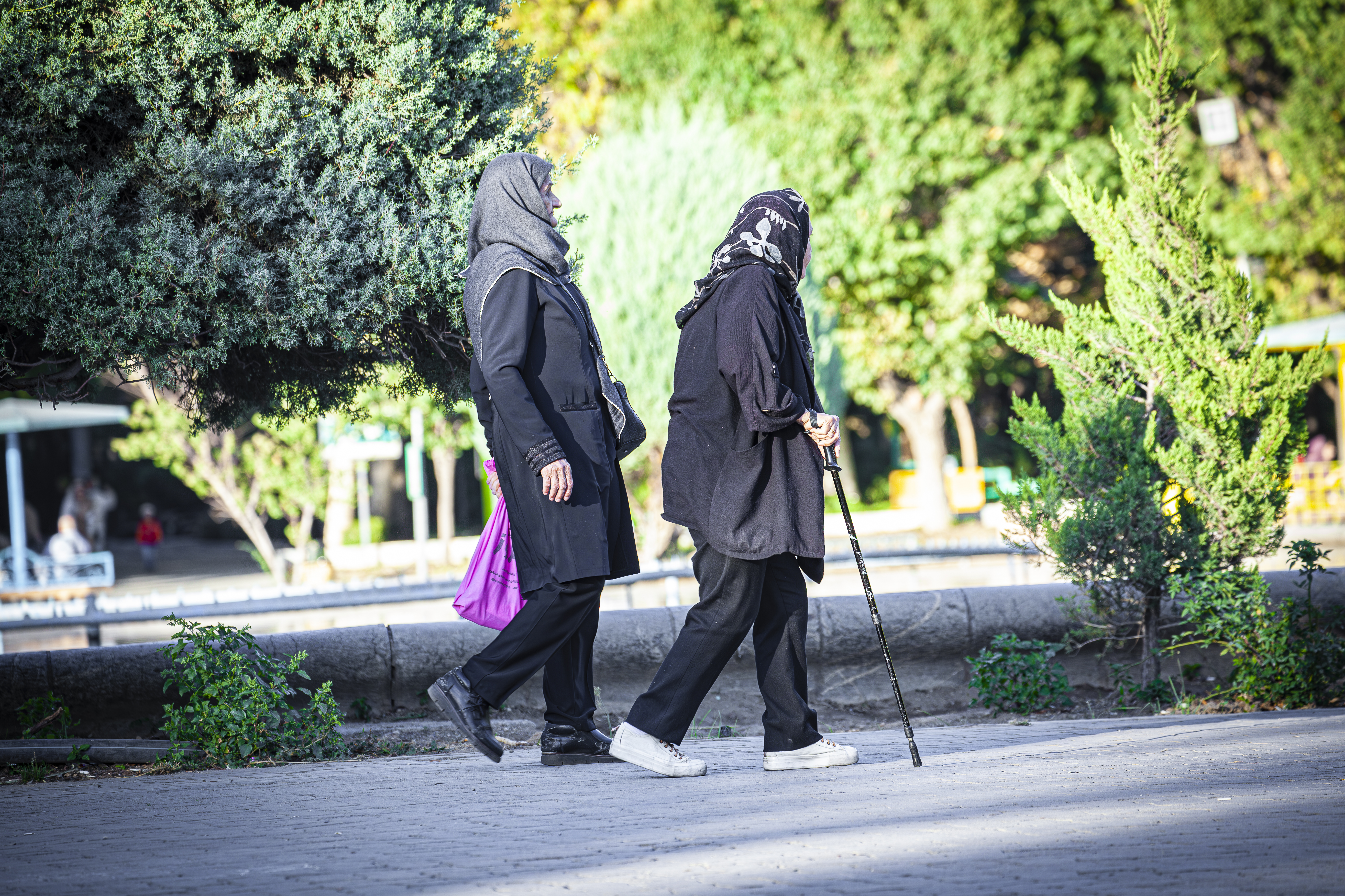 فراخوان نجات «جان‌های نامرئی»