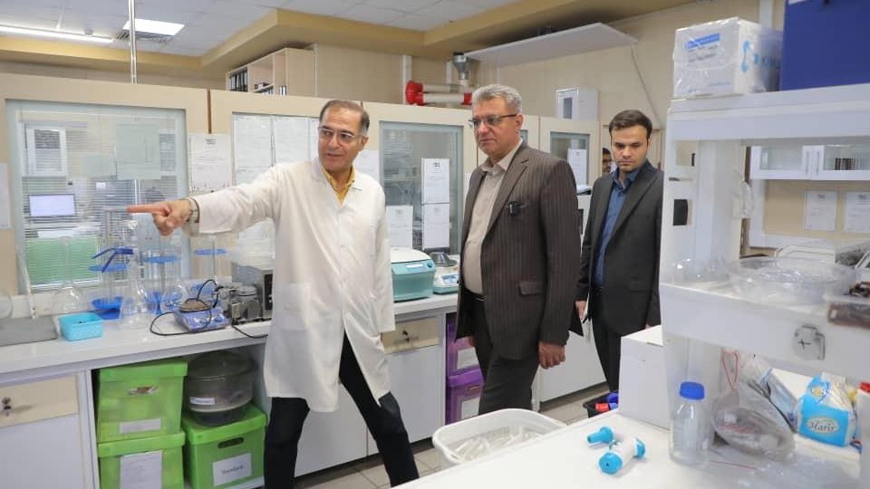 تعاونی ها برند ایرانی را در سطح بین المللی مطرح کنند