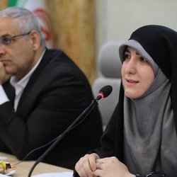 عضو کمیسیون صنایع: مجلس پشتیبان وزارت کار در رفع موانع کسب‌وکار زنان است