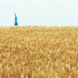 سالی که نیویورک مزرعه گندم شد