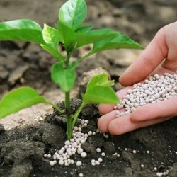 توزیع ۱.۱ میلیون تن کود یارانه‌ای طی پنج‌ماهه امسال