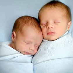 اعتبار ویژه برای ۵۶ هزار خانواده دارای چندقلو؛ امکان خرید پوشک رایگان با کالابرگ