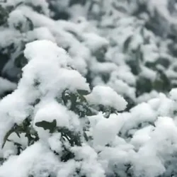 ایران یخ می‌زند؛ افت ۱۵ درجه‌ای دما و برف سنگین در ده‌ها استان