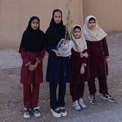 دختران شهداد به یاد دختران میناب حنا کاشتند
