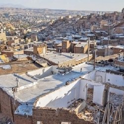 اعتبار ۳۰۰ میلیارد تومانی کمیته امداد برای خدمات فوری به نیازمندان