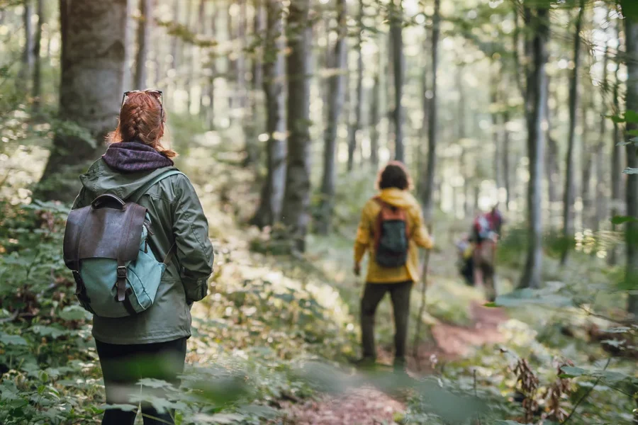 چگونه دوستدار طبیعت باشیم؟