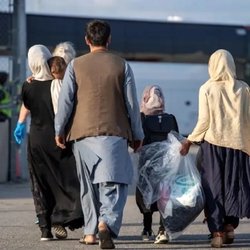 جزئیات طرح «روادید کارگری»؛ هدف‌گذاری برای صدور ۲۰۰ هزار ویزای کارگری
