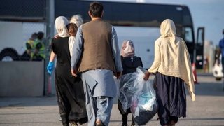 جزئیات طرح «روادید کارگری»؛ هدف‌گذاری برای صدور ۲۰۰ هزار ویزای کارگری