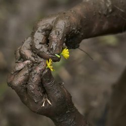 جشن گل‌آلود؛ آغاز فصل کشت برنج در نپال
