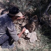 محیط‌زیست از دسترس خارج شد