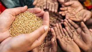 کالبدشکافی امنیت غذایی در ایران