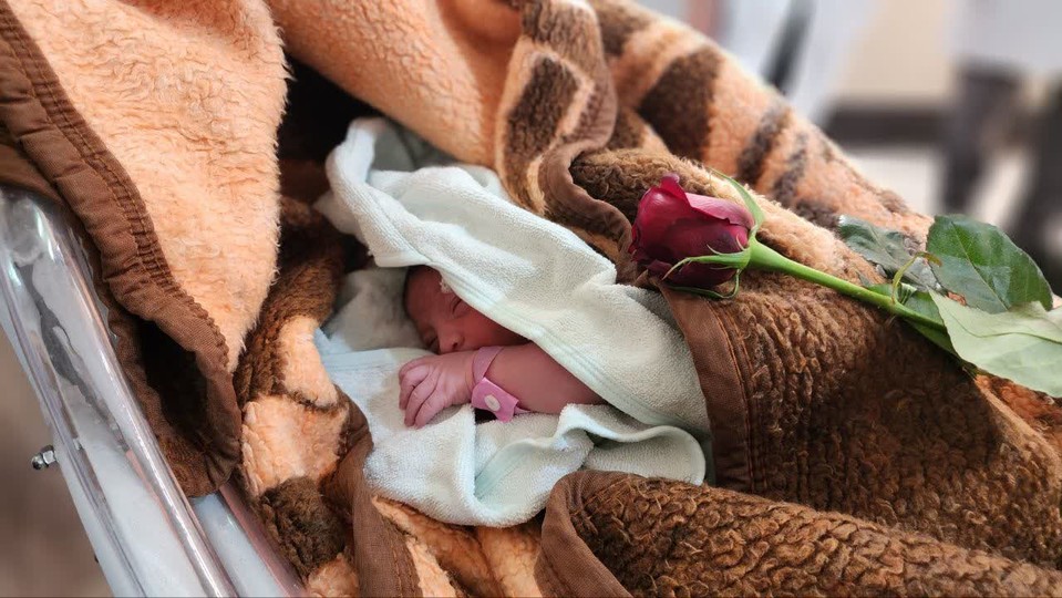 رشد ۶ درصدی تولد نوزادان در بیمارستان تأمین اجتماعی امام رضا(ع) قم