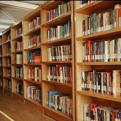 کتابداران؛ حلقه گمشده میان مردم و دانش