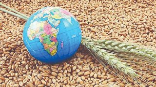 گزارش جدید فائو از بازار جهانی غذا؛ فشار قیمتی ادامه دارد