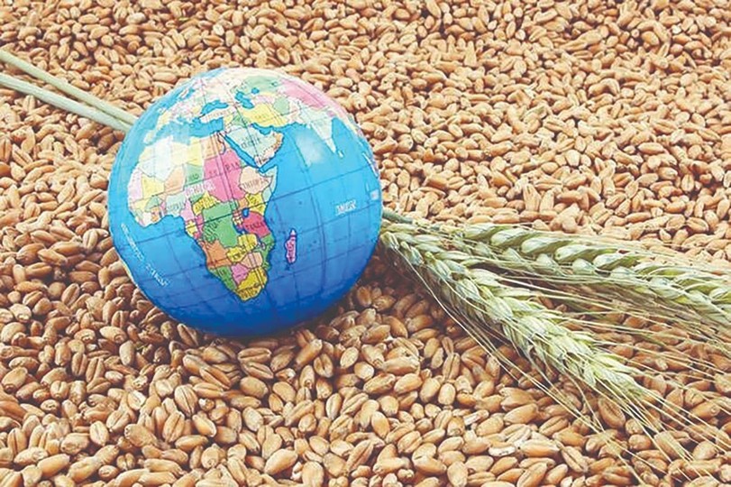 گزارش جدید فائو از بازار جهانی غذا؛ فشار قیمتی ادامه دارد