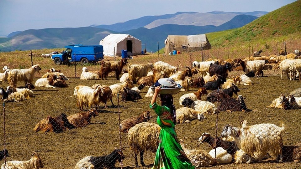 ۴۸ هزار سیستان و بلوچستانی تحت پوشش بیمه اجتماعی کشاورزان، روستائیان و عشایر
