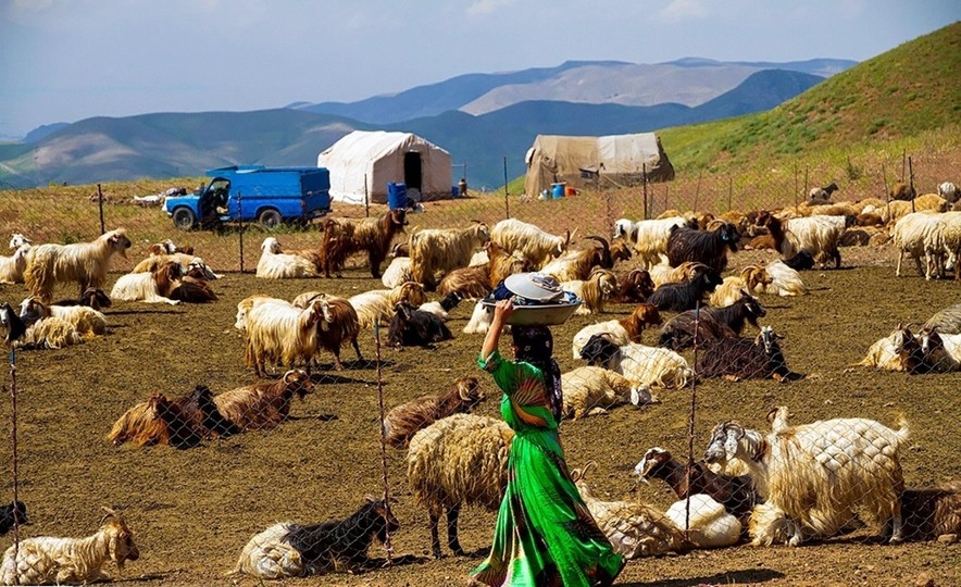 ۴۸ هزار سیستان و بلوچستانی تحت پوشش بیمه اجتماعی کشاورزان، روستائیان و عشایر