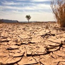 زنگ خطر گسترش بیابان در ایران؛ ۳۲ میلیون هکتار سرزمین درگیر خشکی و فرسایش