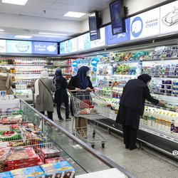 واریز ۱۷ هزار و ۵۶۰ میلیارد تومان به حساب مجری طرح افزایش کالابرگ